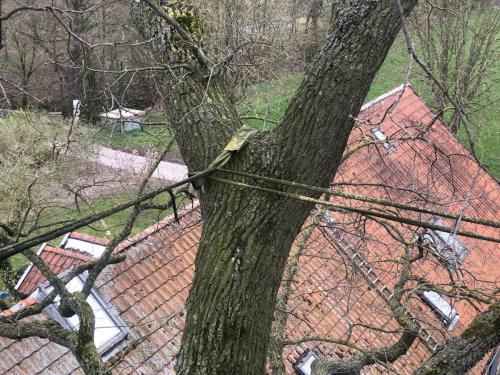 Kontrolle Kronensicherung