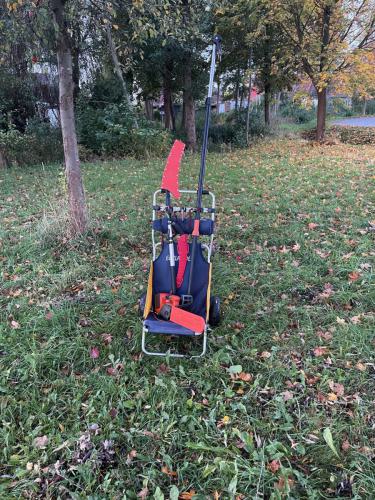 Aufwuchspflege an Jungbäumen