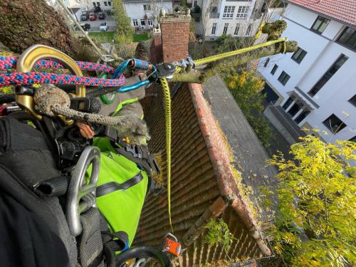 Baumpflegerische Maßnahmen an sonst nicht zugänglichen Stellen