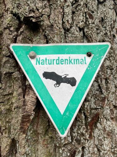 Wir berücksichtigen die aktuellen Rahmenbedingungen