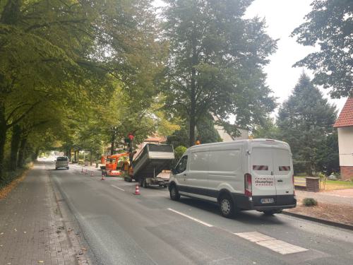 Herstellung Lichtraumprofil im öffentlichen Verkehrsraum